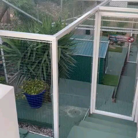 Instagram post from redesparagatos. This post is in position 0.