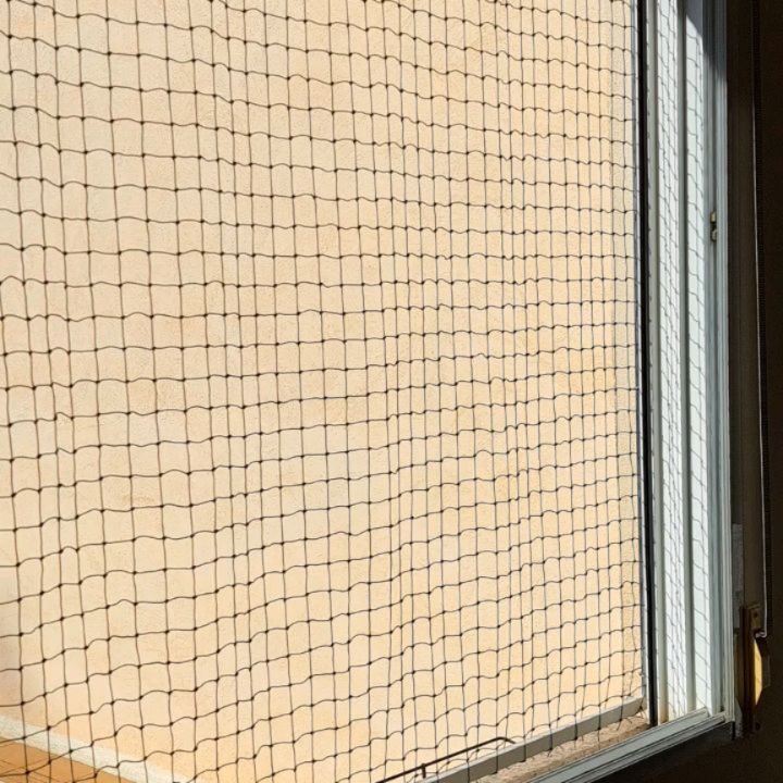 Instagram post from redesparagatos. This post is in position 2.