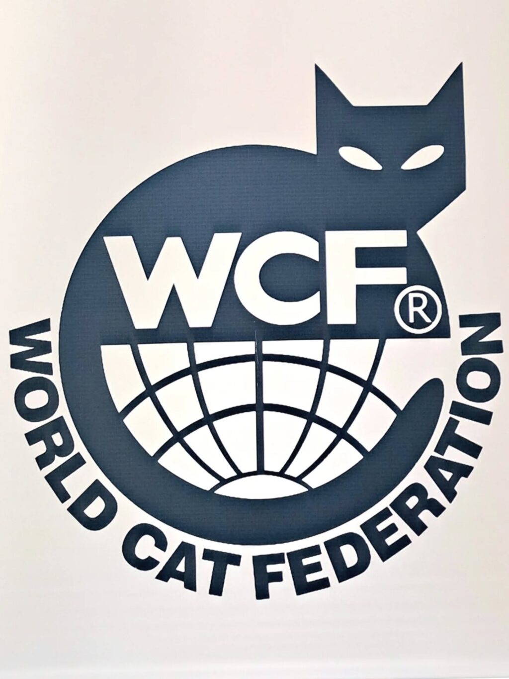 Instagram post from redesparagatos. This post is in position 0.