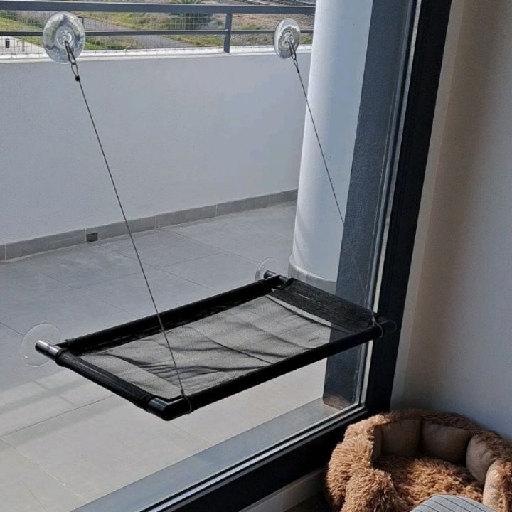 Instagram post from redesparagatos. This post is in position 6.