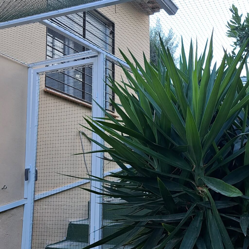 Instagram post from redesparagatos. This post is in position 6.