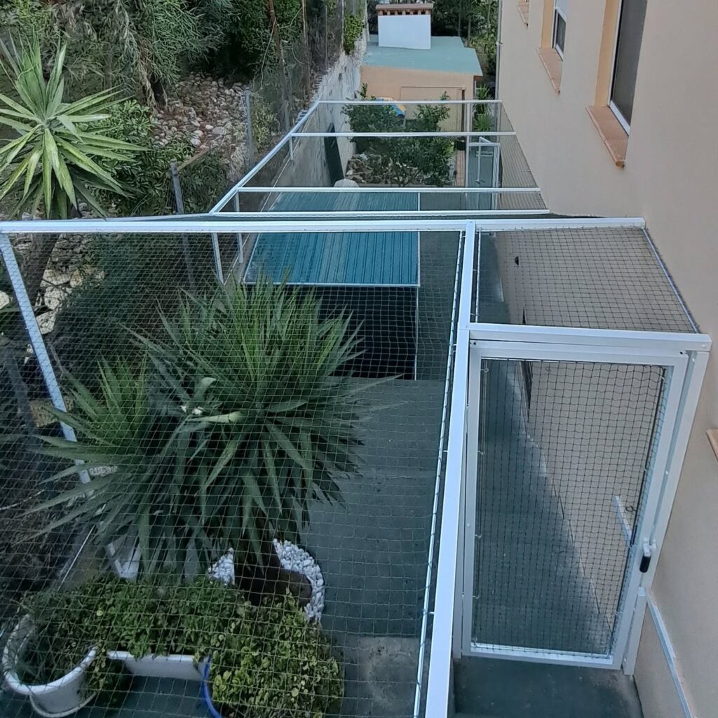 Instagram post from redesparagatos. This post is in position 4.