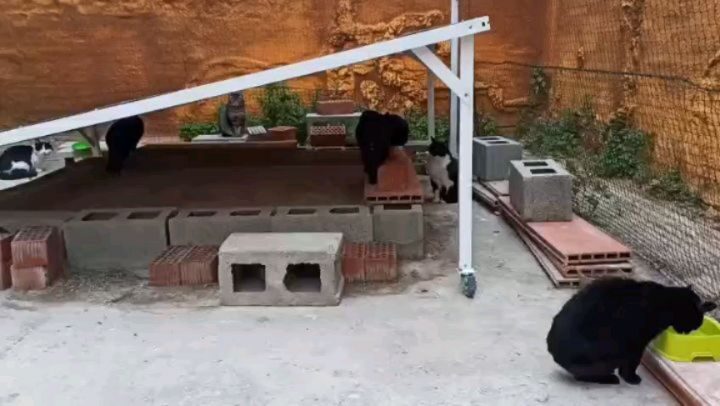 Instagram post from redesparagatos. This post is in position 1.