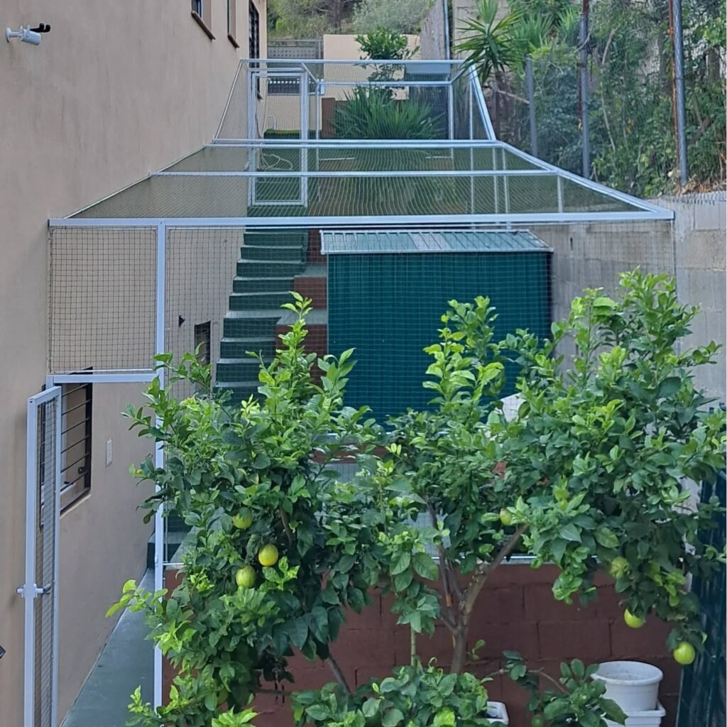Instagram post from redesparagatos. This post is in position 1.