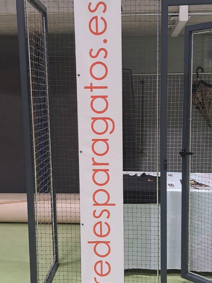 Instagram post from redesparagatos. This post is in position 1.