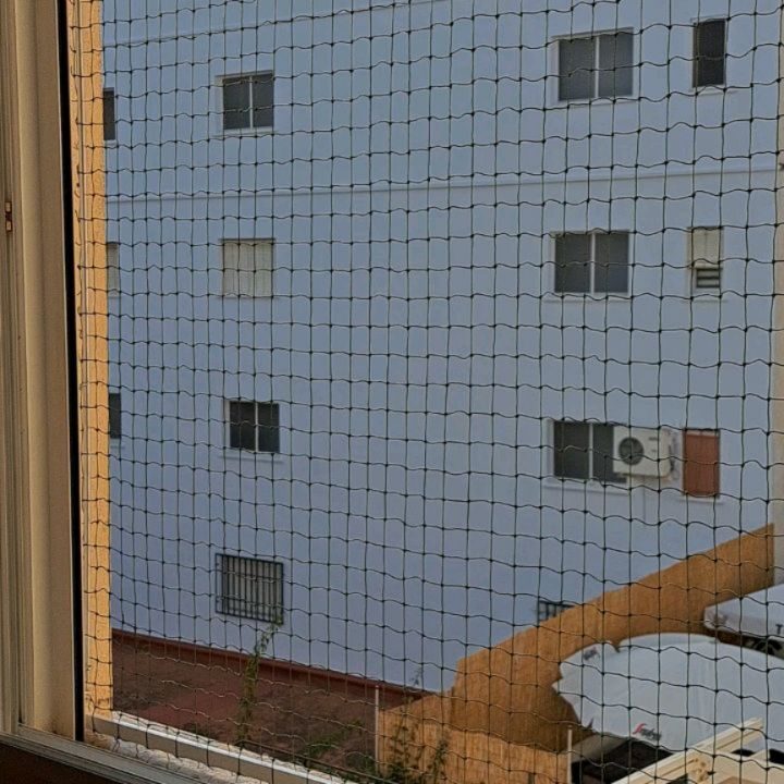 Instagram post from redesparagatos. This post is in position 1.