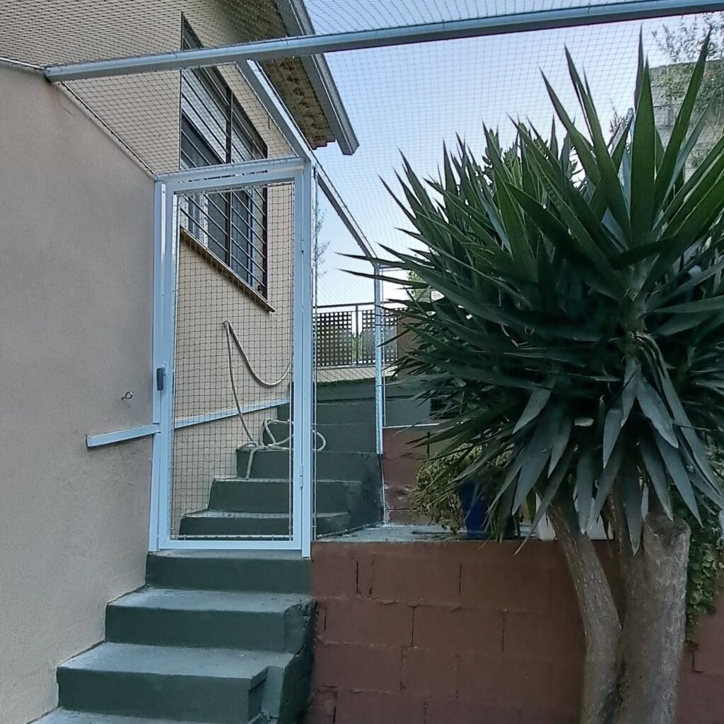 Instagram post from redesparagatos. This post is in position 2.