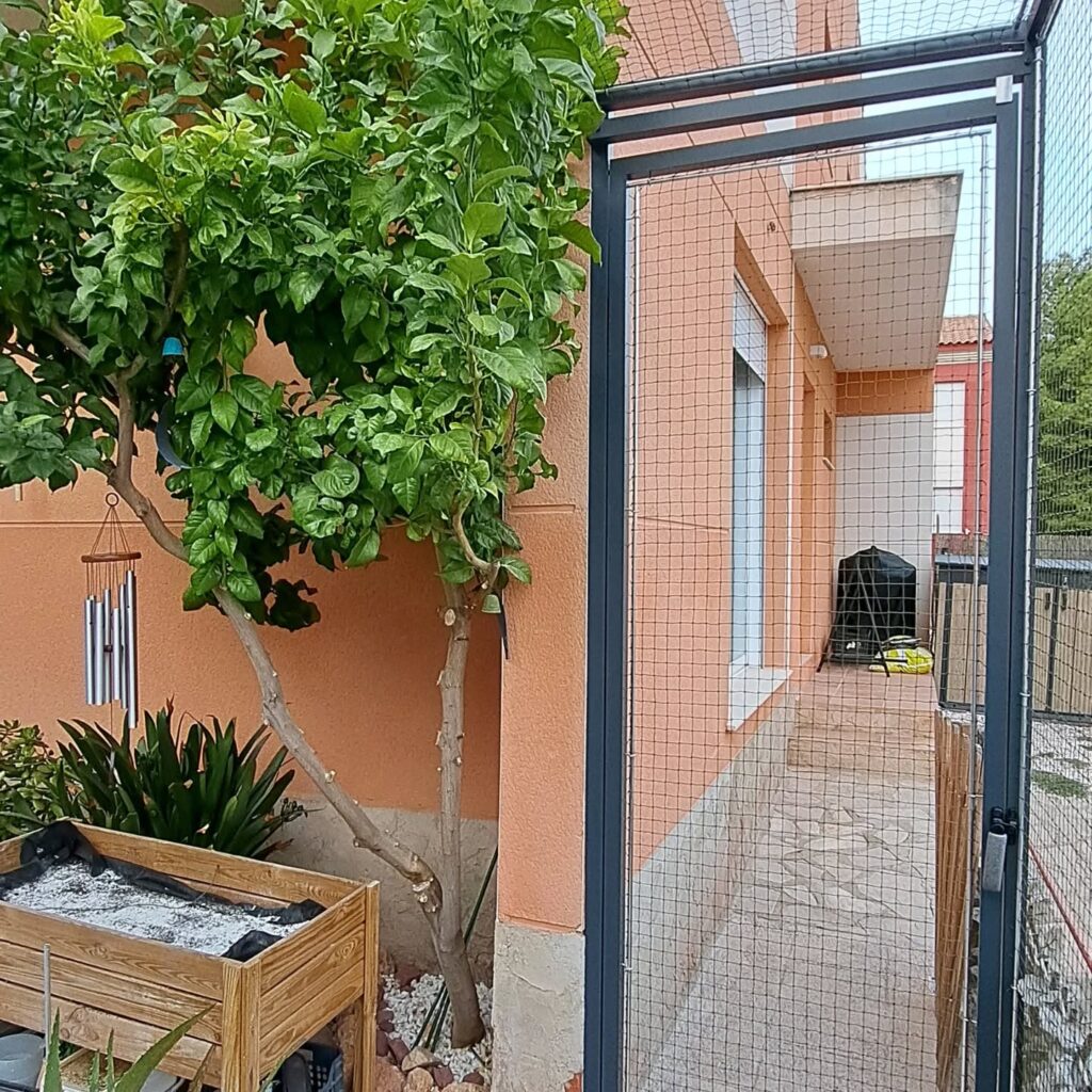 Instagram post from redesparagatos. This post is in position 5.