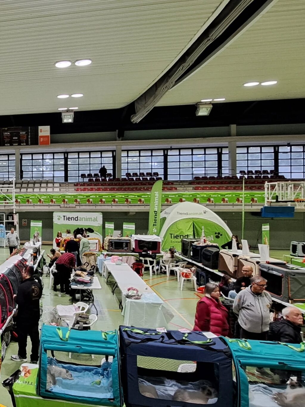 Instagram post from redesparagatos. This post is in position 2.