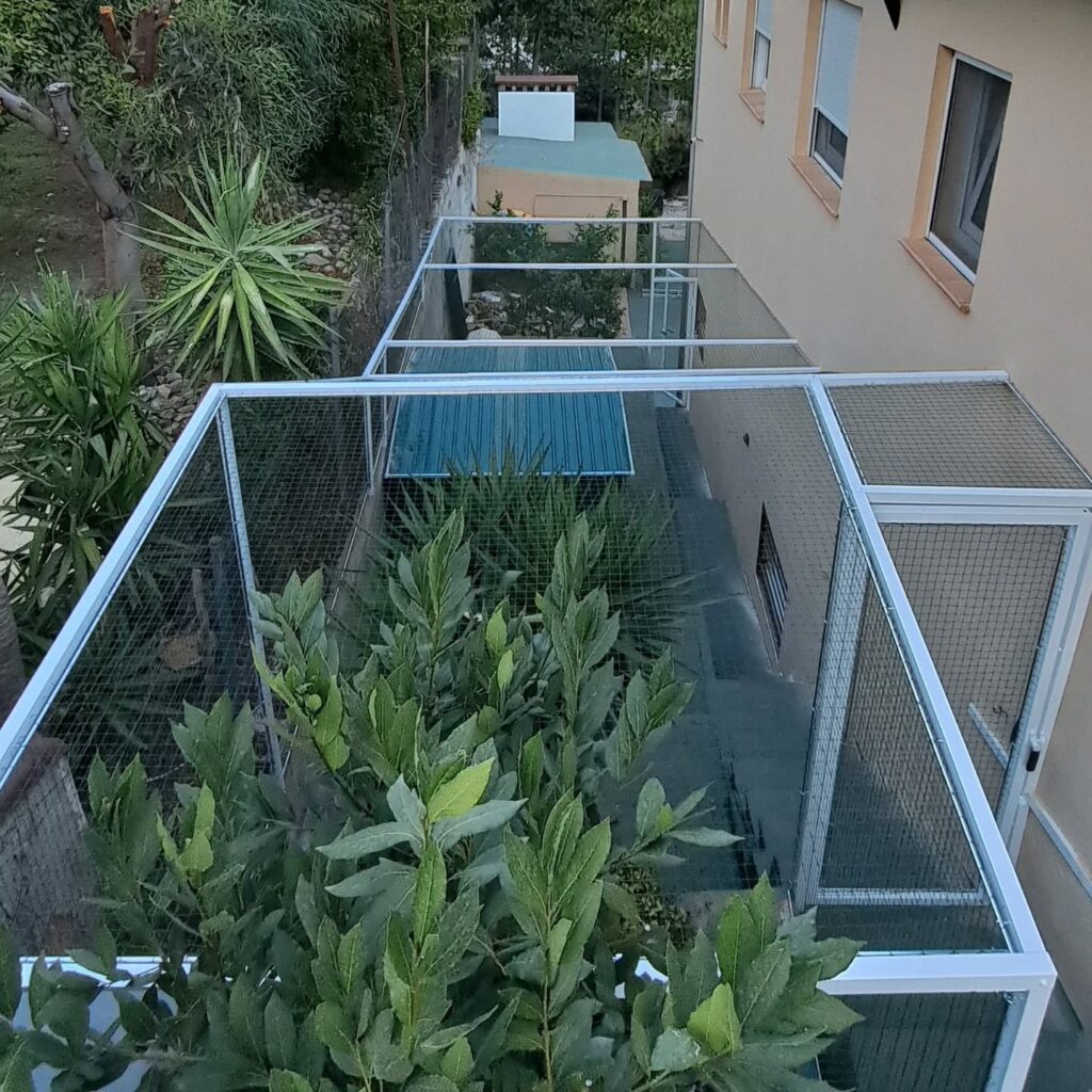 Instagram post from redesparagatos. This post is in position 5.