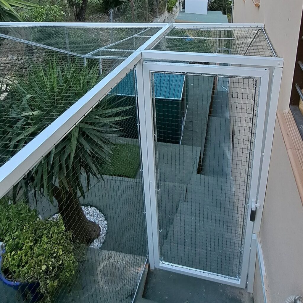 Instagram post from redesparagatos. This post is in position 3.